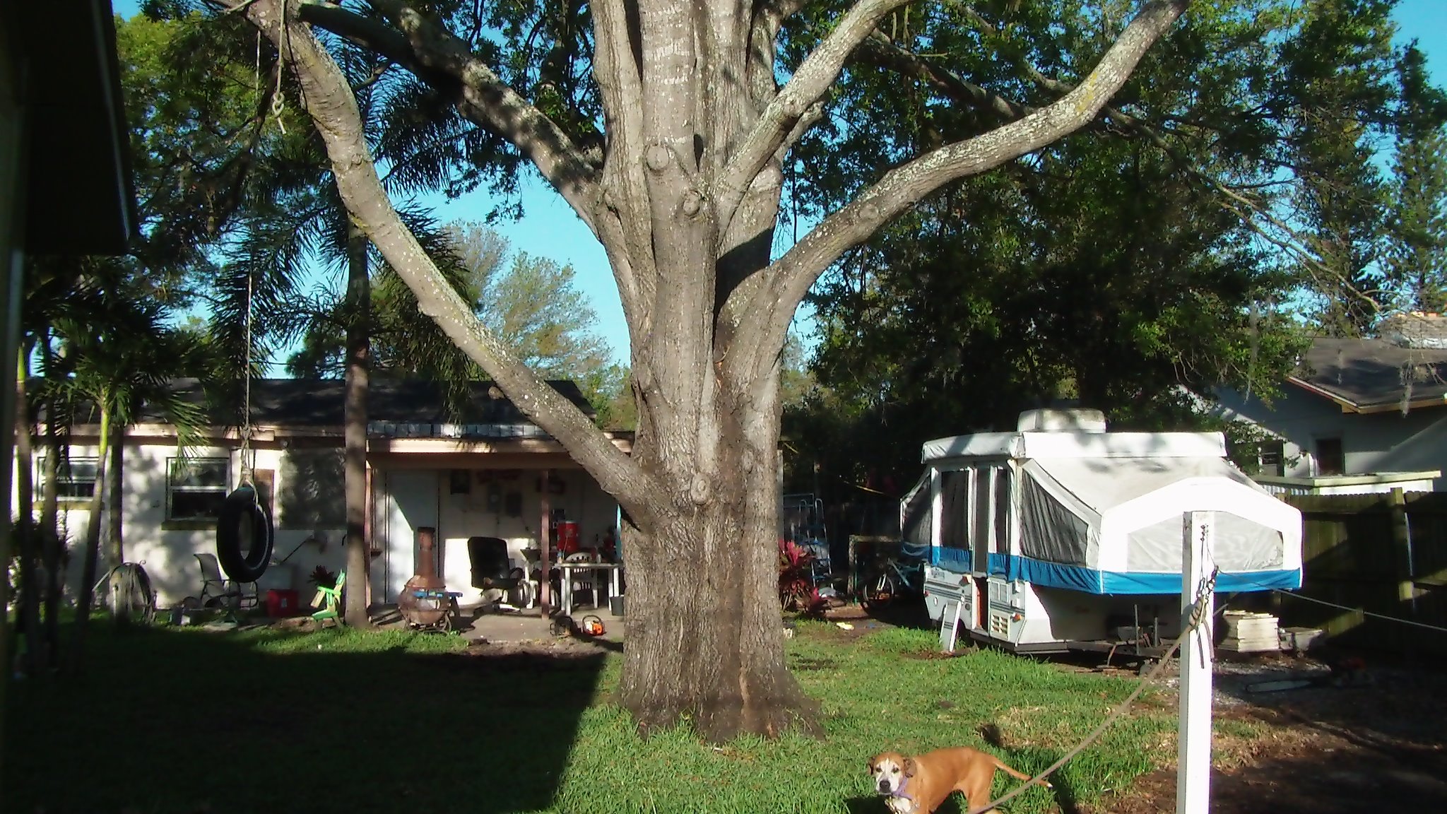 Dunedin Florida